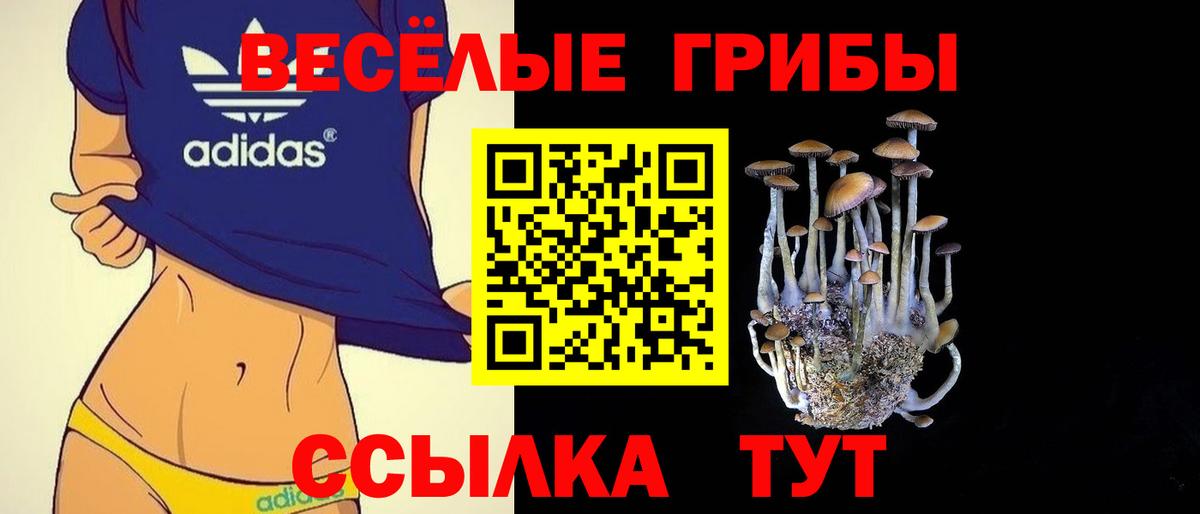 где можно купить наркотик  Галлюциногенные грибы Cubensis  Галлюциногенные грибы Psilocybe  Вход с VPN  Азов 